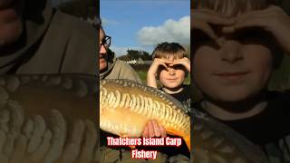 New Video on channel Thatchers Island Carp Fishery fishing carpfishing catchandrelease bigfish [upl. by Aleuqahs]