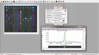 DNA Analysis with GelPro Analyzer Software from Media Cybernetics [upl. by Castor374]