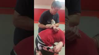 Hammerlock  Painful Catch Wrestling Move shorts martialarts [upl. by Negaem]