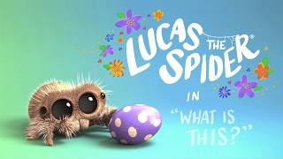 Lucas the Spider – What Is This  Short [upl. by Ricca228]