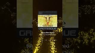 Silence Ram Remix  Delerium amp Sarah McLachlan trance electronicmusic music [upl. by Celestia]