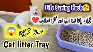 Best Cheap Cat Litter Box  diy cat litter tray  life hacks for cat owners  DIY your own cat box [upl. by Eenehs]