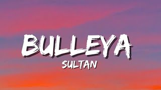 Bulleya Lyrics  Sultan  Salman Khan Anushka Sharma [upl. by Hebner]