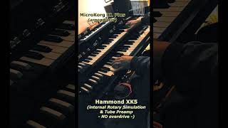 shorts Hammond XK5 amp Korg MicroKorg XL Plus music synth hammondorgan HammondB3tube [upl. by Jobey761]