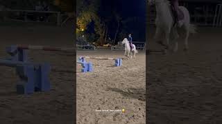 🥲🥲 horse concours poney cheval equestrian chevaux humour [upl. by Eahs]