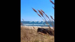 Surat Al Ikhlas  UstHanan Attaqi alquran alikhlas islam usthananattaqi quranrecitation [upl. by Langbehn]