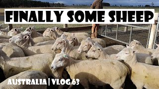 Traveling Australia Part 6  Vlog 63 [upl. by Fita907]