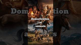 Domestication of Animals fact facts history inventions viralvideo pets pet [upl. by Aremaj]