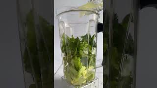 How To Make Celery Juice In The Blender 💚 [upl. by Pratt739]