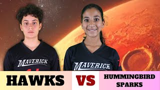 Hawks vs Hummingbirds Sparks [upl. by Annahsat]