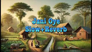 Jani Oye SlowReverbBest Saraiki Song [upl. by Amrita533]