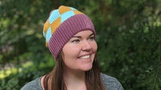 How to Crochet a Beanie [upl. by Evan36]