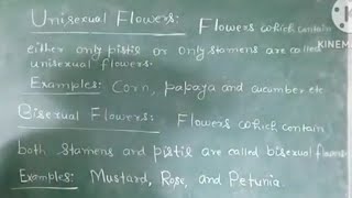 unisexual and bisexual flowers definition examples and explanation by ErHareram Sharma [upl. by Adrahc197]