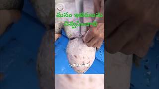 pets doglover youtubeviral love telugushorts telugucomedy srikakulam vishakapatnam china [upl. by Newcomer645]