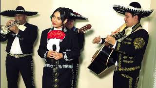 Paloma Cucurrucucu  Mexican Mariachi  Los Mariachi Bros [upl. by Nnaylime240]