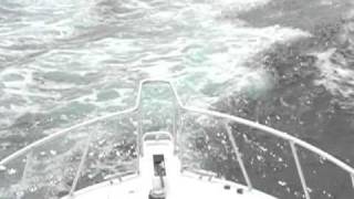 Shotgun Start  PCB Billfish Tournament  Green Flash 2010 [upl. by Llevert]