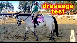 Beginner NOVICE DRESSAGE Test A  USEF Eventing learn more Video [upl. by Salba899]