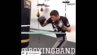 Mega Training um deine NAHKAMPF Skills im BOXEN zu verbessern shorts [upl. by Enomys]