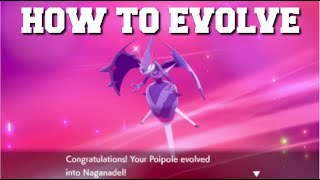 HOW TO EVOLVE POIPOLE INTO NAGANADEL IN POKEMON SWORD AND SHIELD CROWN TUNDRA DLC [upl. by Elleinet]