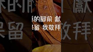 在耶穌的腳前 詩歌伴奏 Discover the Beauty of Chinese Hymns on Piano [upl. by Maharva]