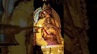 Swamiye sharanam ayyappa🙏🙏  god ayyappa devotional  ayyappa songs  ayyappaswamy ayyappadeeksha [upl. by Lerraf]