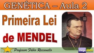 Aula sobre Primeira lei de Mendel  Genética Aula 2 de 12 genetica biologia vestibular [upl. by Malia843]