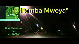 Elias Musakwa Famba Mweya wangu [upl. by Modie305]