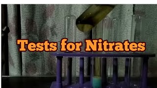 Test for Nitrate ions [upl. by Jefferson475]