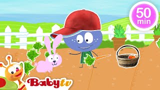 Gemüsegarten 🍅​🥒​ Weitere beste Folgen und Kinderlieder  Videos für Kleinkinder BabyTVDE [upl. by Picco]