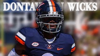 Dontayvion Wicks Virginia WR Highlight  Matchup Nightmare [upl. by Yasnil]