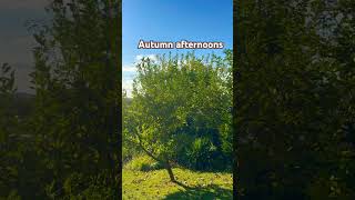 📍Thüringen Approaching Autumn wandertag autumn nature explore greenry sun thuringia music [upl. by Nabois110]