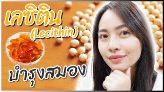 85 เลซิตินLecithin บำรุงสมอง​ เสริมสร้างความจำ โดยเภสัชกร  เภสัชท่องโลก 🌏 [upl. by Leuams]