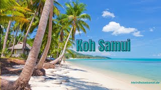 Koh Samui Tipps und Tricks [upl. by Cresa]