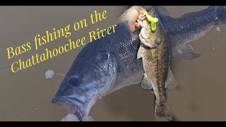 Bass fishing on the Chattahoochee River [upl. by Line]