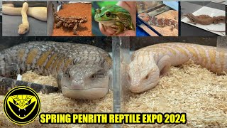 Spring Penrith Reptile Expo 2024 [upl. by Cerallua]