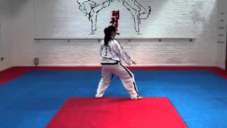 Toi Gye Tul and basic movements for grading to 2nd kup [upl. by Emylee]