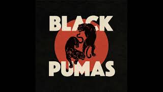 Black Pumas  Confines HD [upl. by Francine]