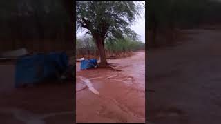 Curral Velho em Dormentes Pernambuco chuva roça [upl. by Neeoma540]