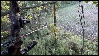 2009 Michigan archery deer kill  watch in HD [upl. by Benn]