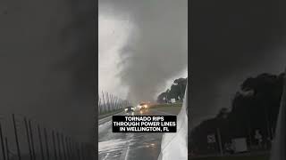 A tornado ripped through power lines in South Florida as Hurricane Milton closed in [upl. by Anib521]