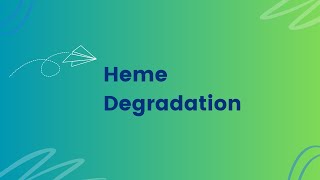 472 Heme degradation and bilirubin formation  Diagram 3 [upl. by Ciardap974]