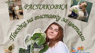 Выставка комнатных растений г Кемерово [upl. by Hortense]