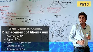 Displacement of Abomasum  Part 33 [upl. by Ierdna927]