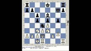 Xiong Jeffery vs Anka Emil  USA Chess 2013 ICC INT [upl. by Donella]