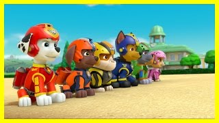 Paw Patrol Air Pups [upl. by Krongold]