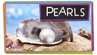 Where Do Pearls Come From [upl. by Ilsa]