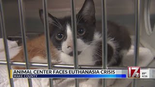 Wake County Animal Center facing euthanasia crisis [upl. by Jakoba577]