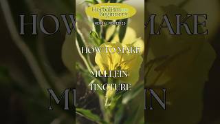 How to Make Mullein Leaf Tincture  Herbalism for Beginners  Herbal Remedies [upl. by Eremaj]