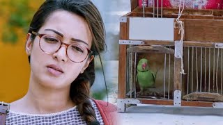 Catherine Tresa Ne Pinjare Me Kaid Iss Tote Ko Aazad Kar Diya  Be Shakal Movie Best Scene [upl. by Cherida805]