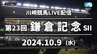 【第8回開催】川崎競馬パドック解説付きLIVE（2024年10月9日 第23回鎌倉記念SⅡ） [upl. by Seedman792]